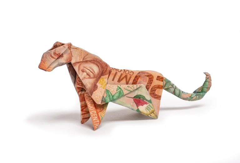 Puma con coloris costarrisensis